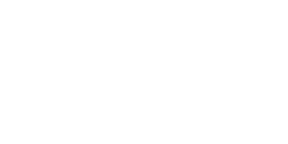 红旗新能源